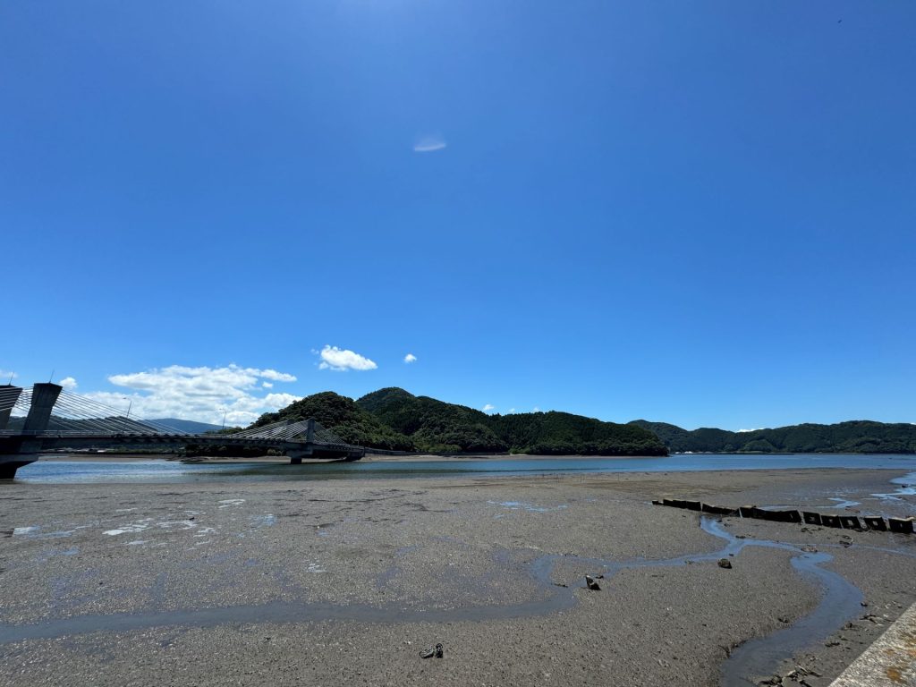 大関山　夏の景色